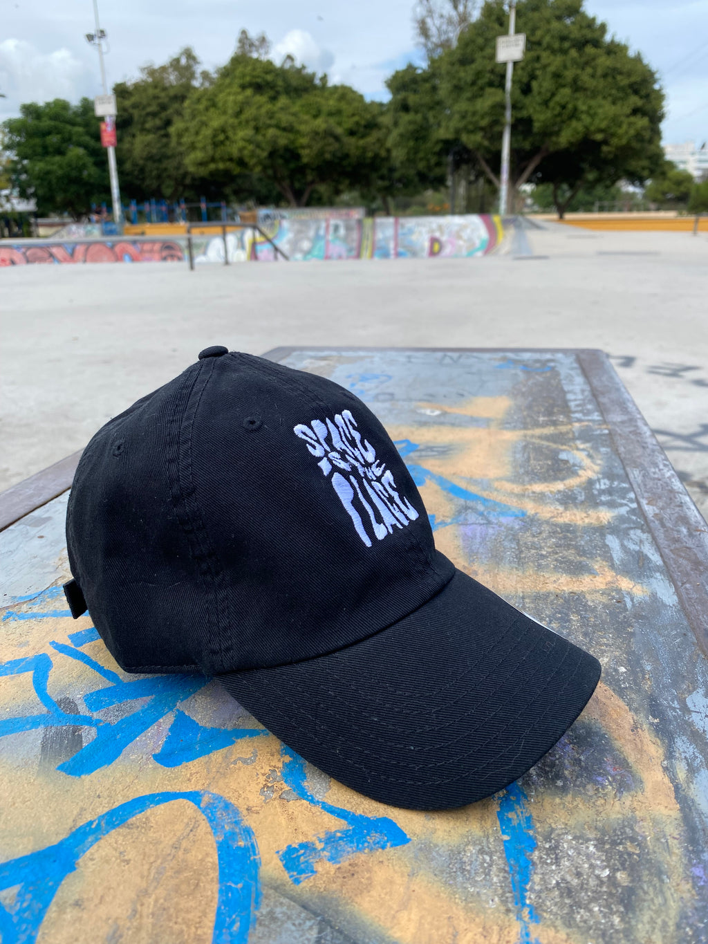 Space Is The Place black cap at skatepark